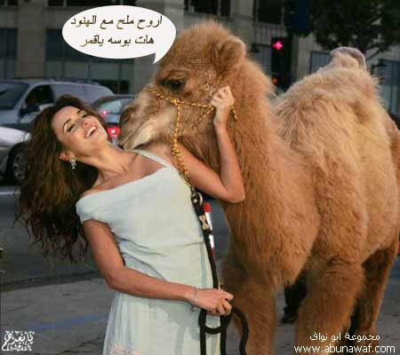 jamila